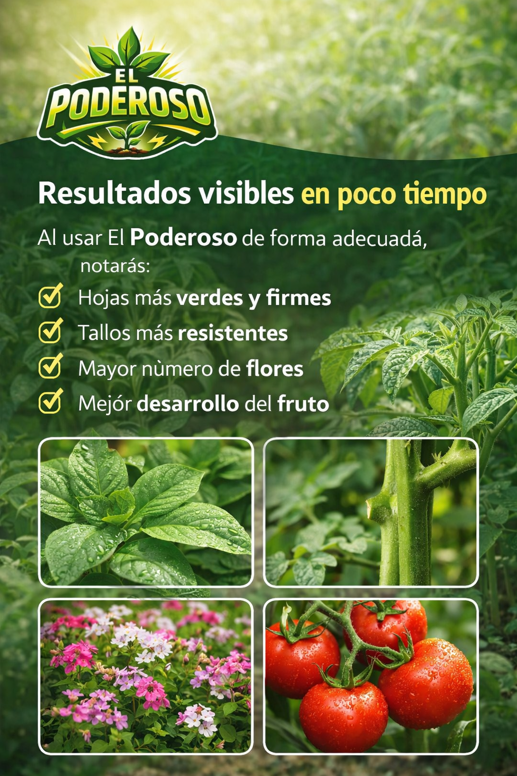 EL PODEROSO: Bioestimulante para tu mejor cultivo ⭐⭐⭐⭐⭐