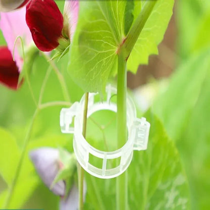 Clips de soporte para plantas x 100 UND|⭐⭐⭐⭐⭐